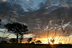 gomo gomo sunset IMG_5306.JPG